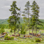 ThuVienTinLanh_img-111
