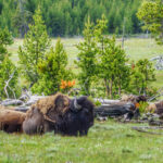 ThuVienTinLanh_img-112