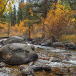 ThuVienTinLanh_img-189