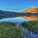 ThuVienTinLanh_img-199