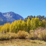 ThuVienTinLanh_img-203