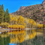 ThuVienTinLanh_img-210
