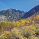 ThuVienTinLanh_img-215