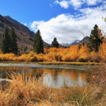 ThuVienTinLanh_img-34