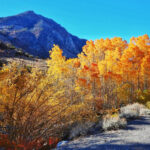 ThuVienTinLanh_img-46